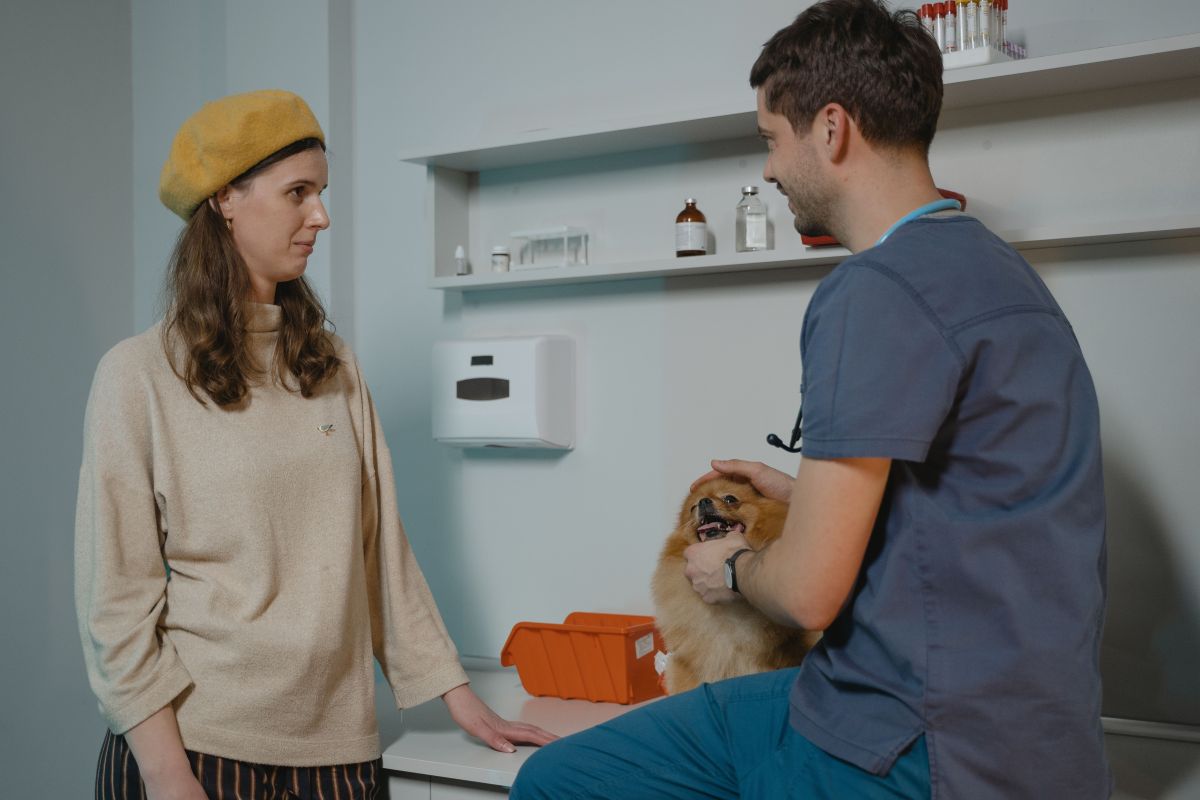 Dueña y veterinario conversando en el box mientras él sostiene a un perro pequeño