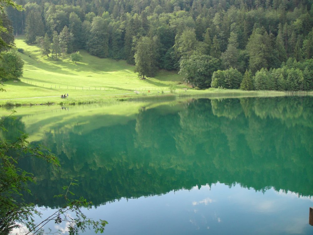Un lago con el bosque reflejado en el agua.