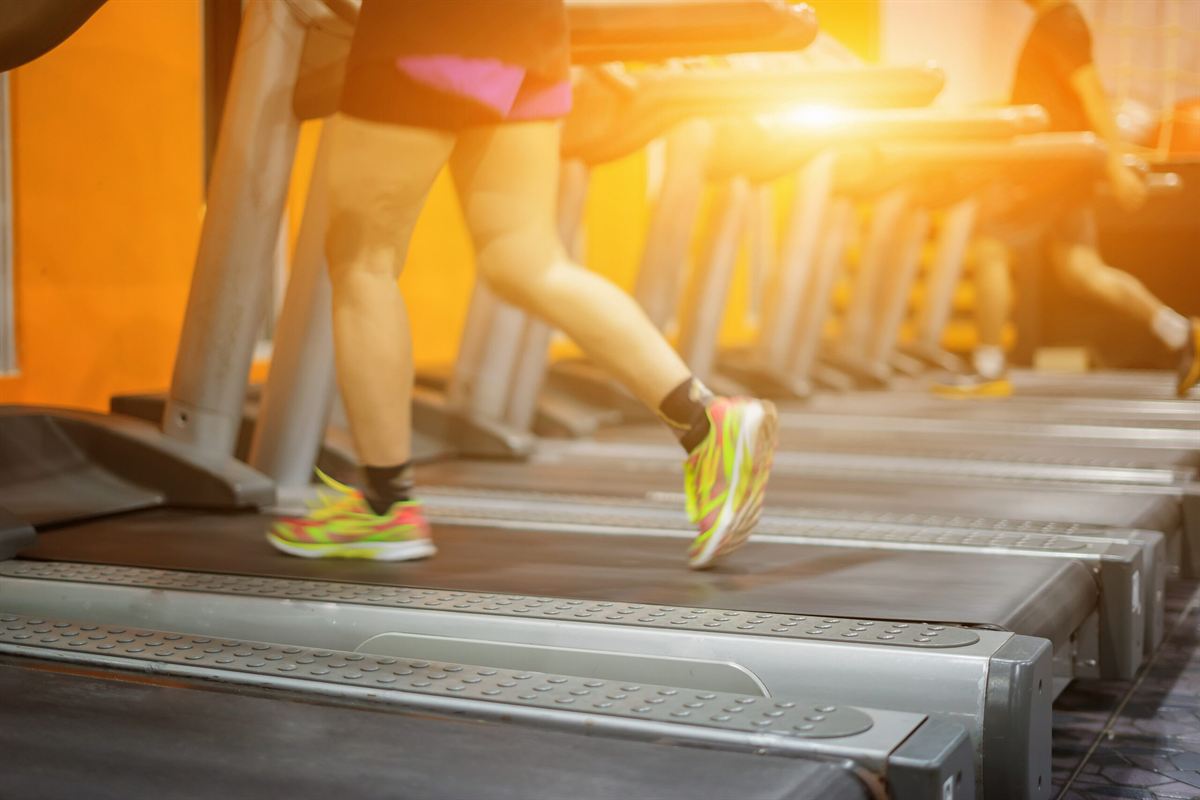Cintas de correr en la zona de cardio