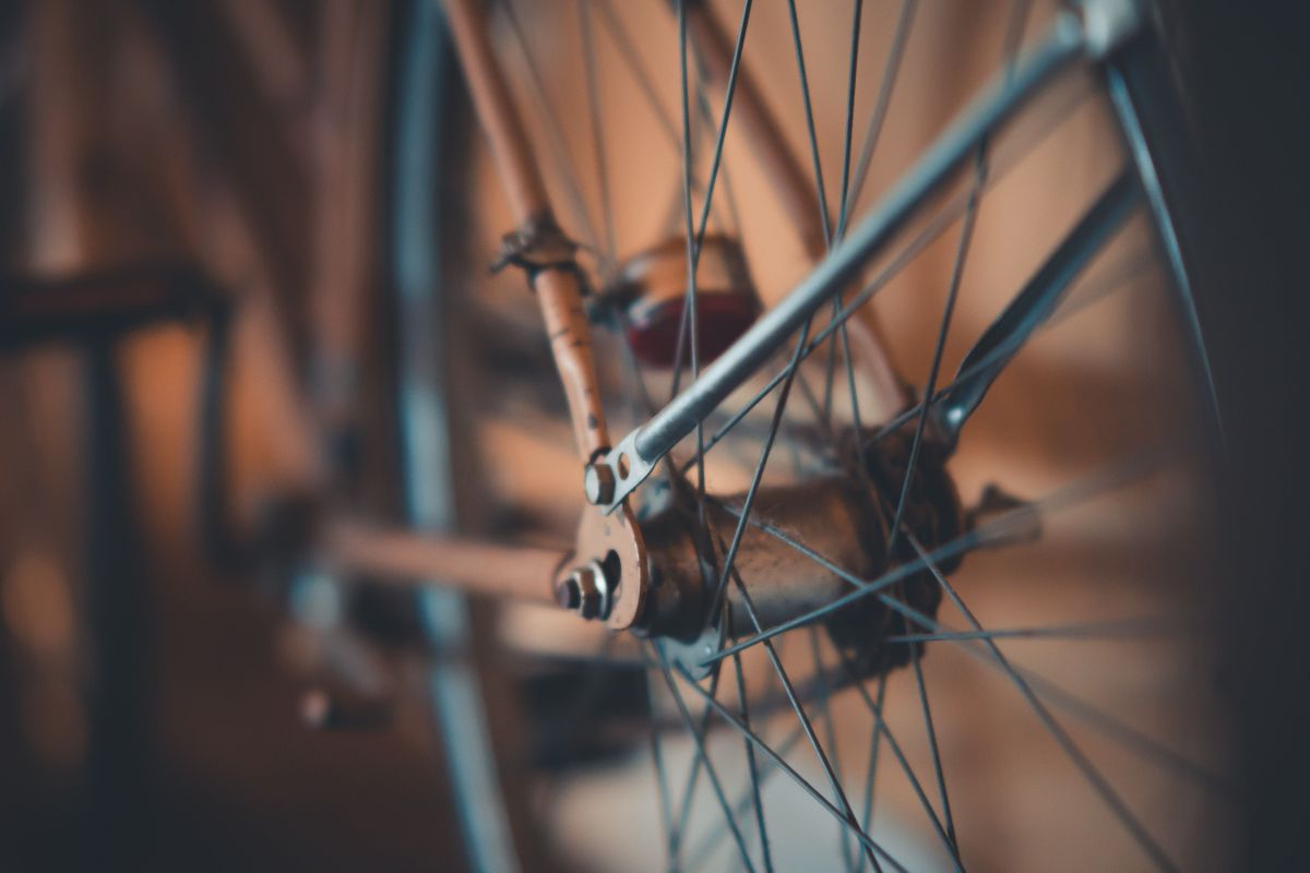 Buje y radios de la rueda de una bicicleta, en primer plano