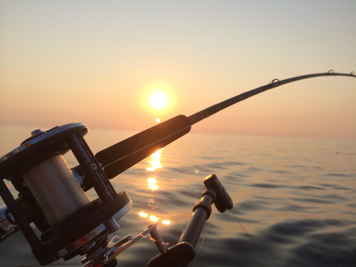 Caña armada contra el agua al atardecer