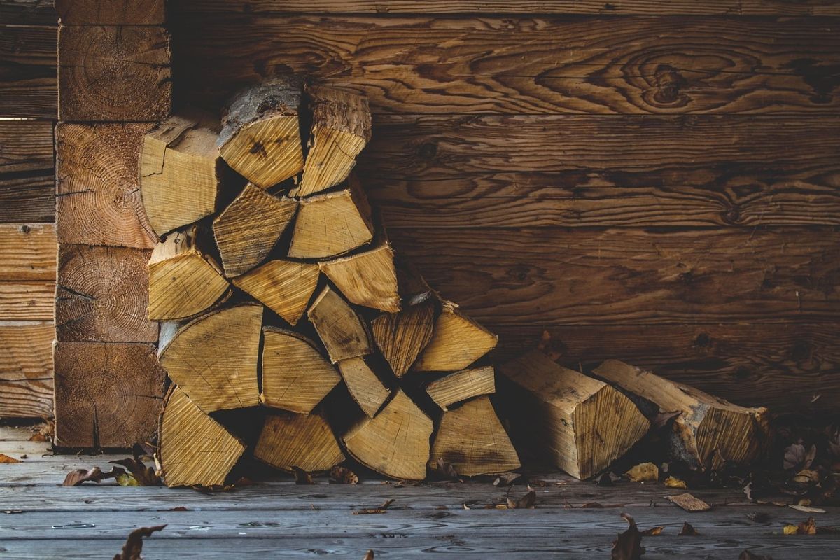 Leña apilada contra un muro de madera.