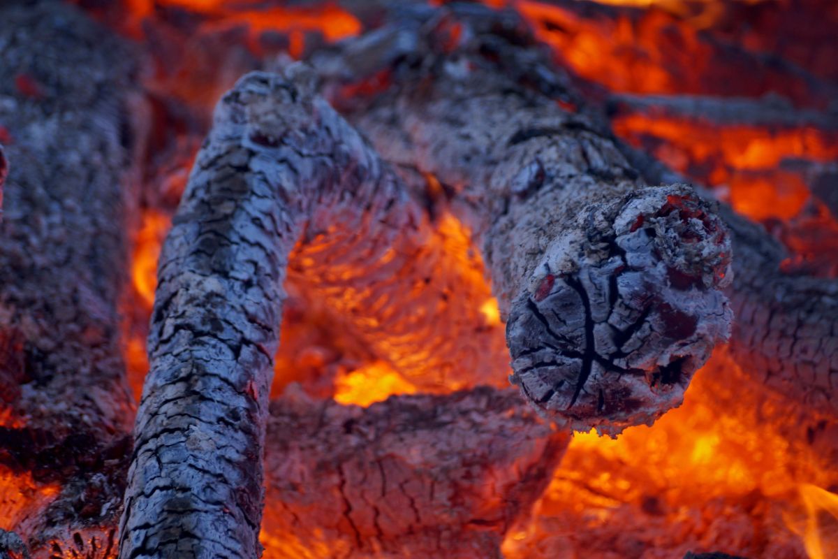 Un tronco ardiendo, la corteza abierta por el calor.