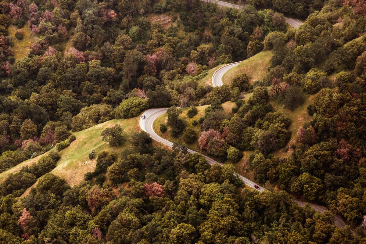 Camino sinuoso visto desde arriba