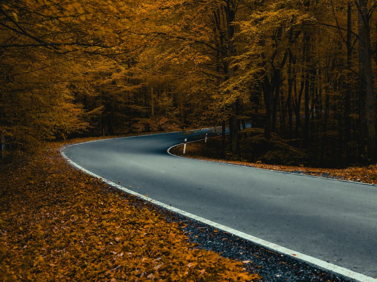Curva en un bosque de otoño