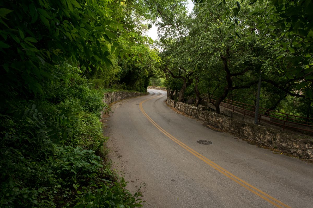 Camino rural entre árboles
