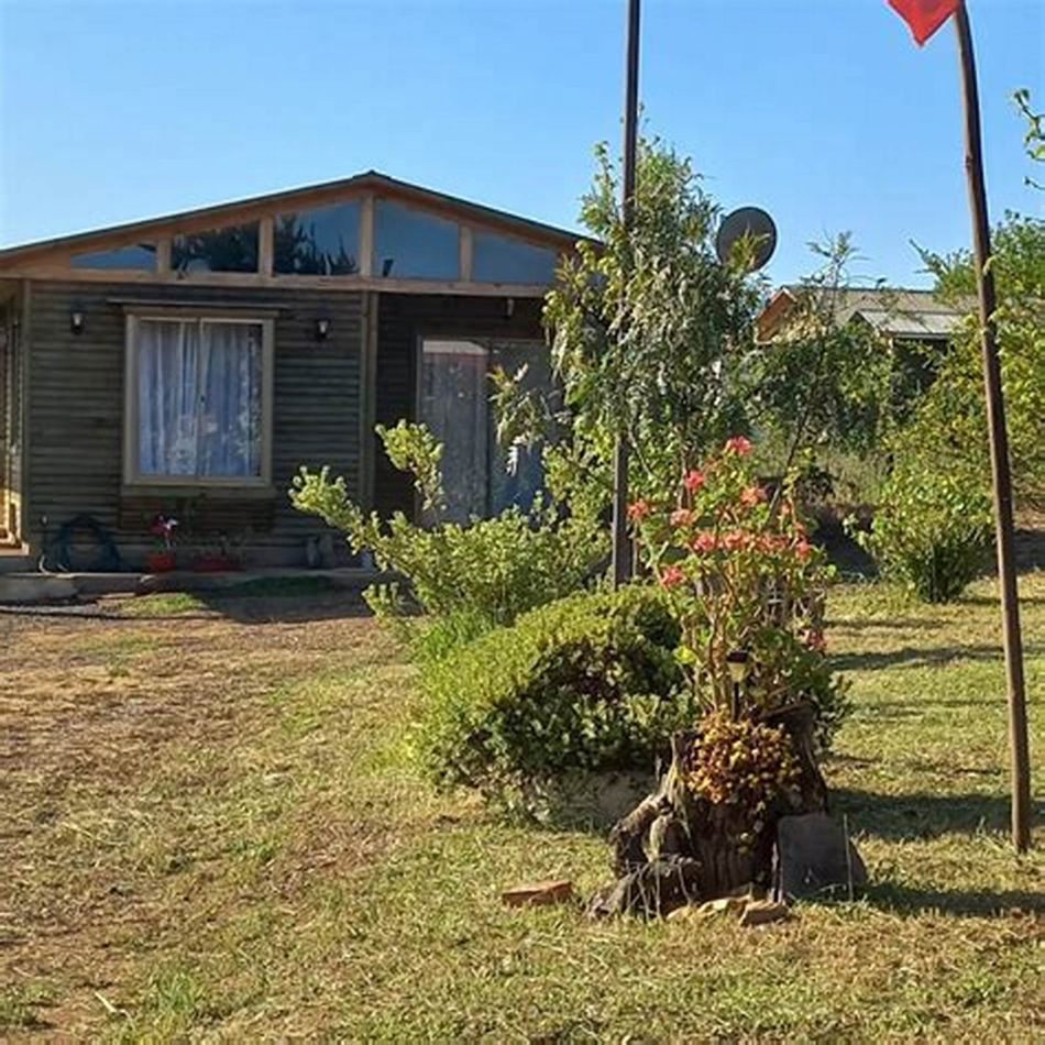 Cabaña con revestimiento gris y arbustos florecidos en el pasto.