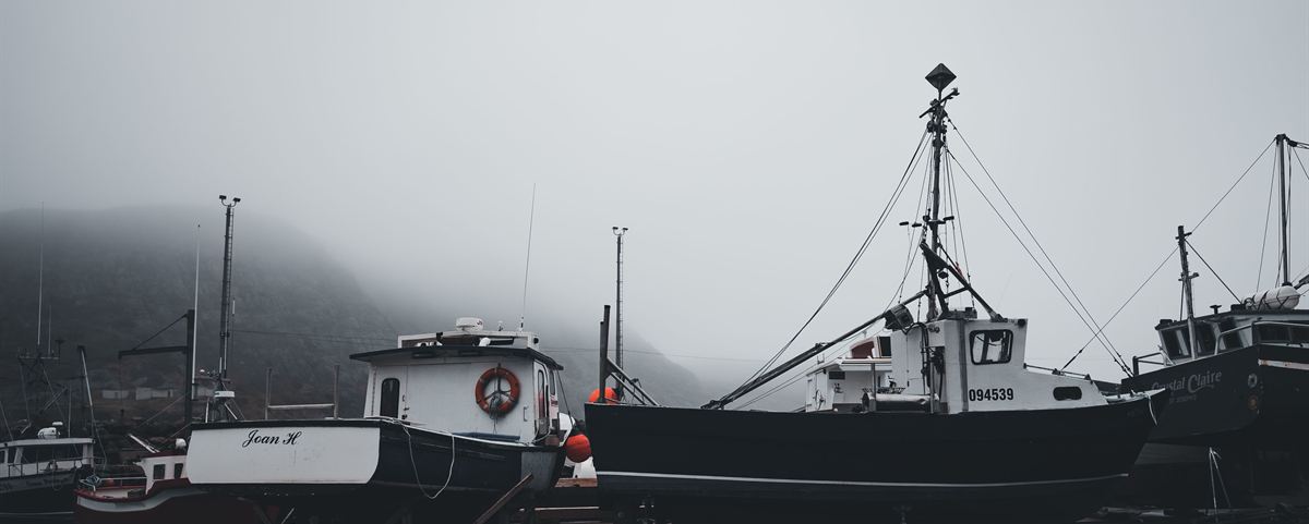 Botes de pesca amarrados en un puerto con niebla.