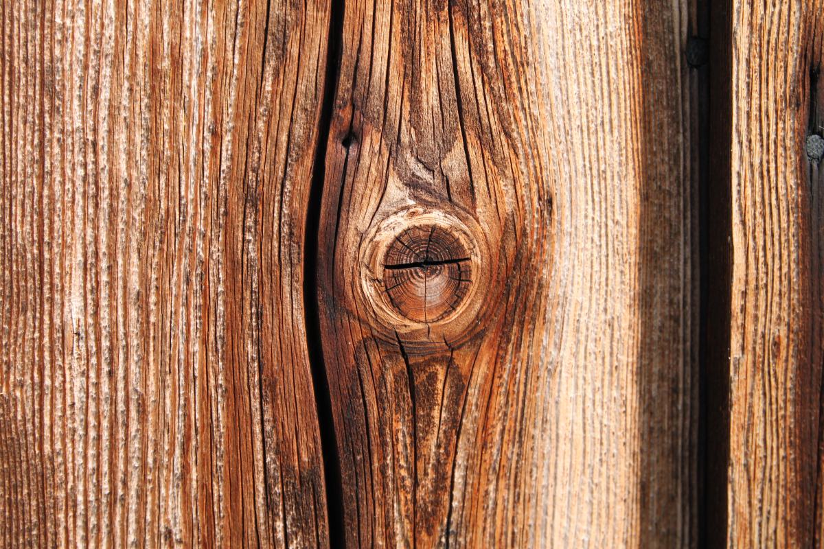 Veta de la madera