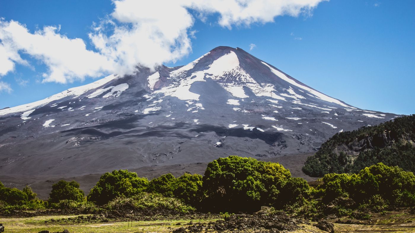 Un volcán nevado detrás de un bosque bajo, en la cordillera de la Araucanía.