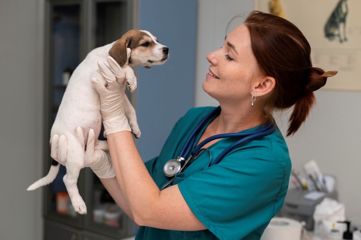 Veterinaria sosteniendo un cachorro
