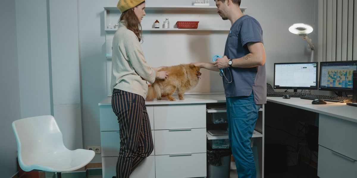 Una persona con su perro sobre el mesón, conversando con el veterinario.